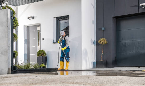 Best Roof Washing  in Pce, LA